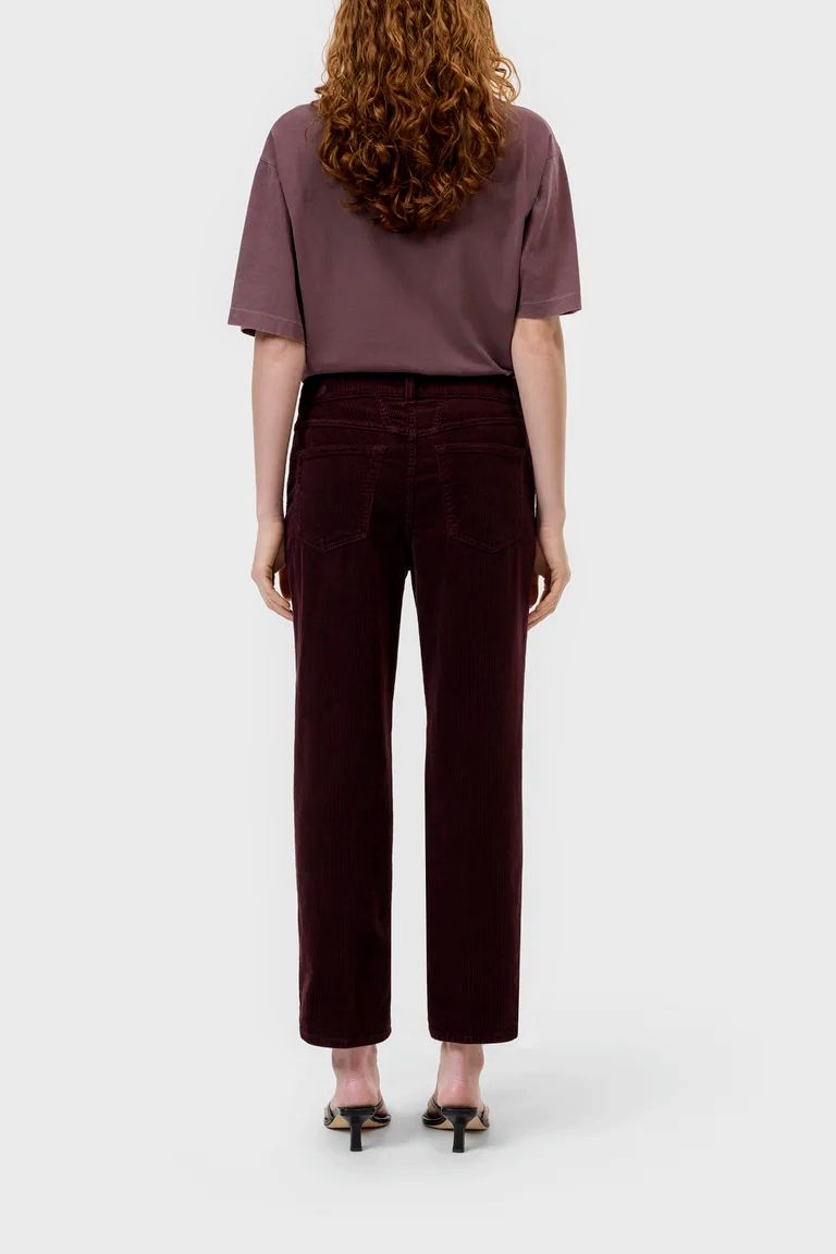 Straight Pants - Milo